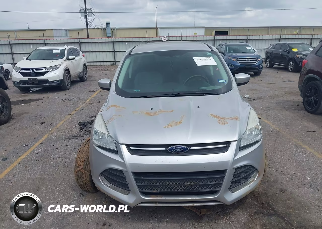 2013 Ford Escape Se VIN:1FMCU0G94DUD17392 - 12