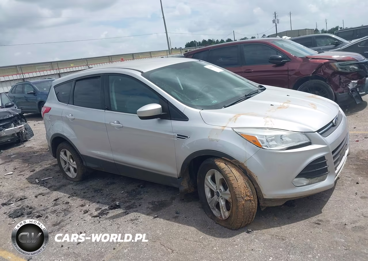 2013 Ford Escape Se VIN:1FMCU0G94DUD17392 - 13