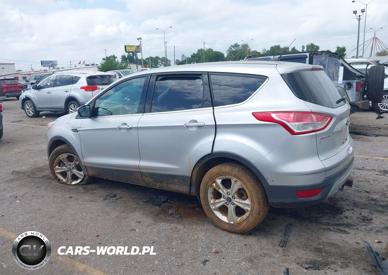 2013 Ford Escape Se VIN:1FMCU0G94DUD17392 - 14
