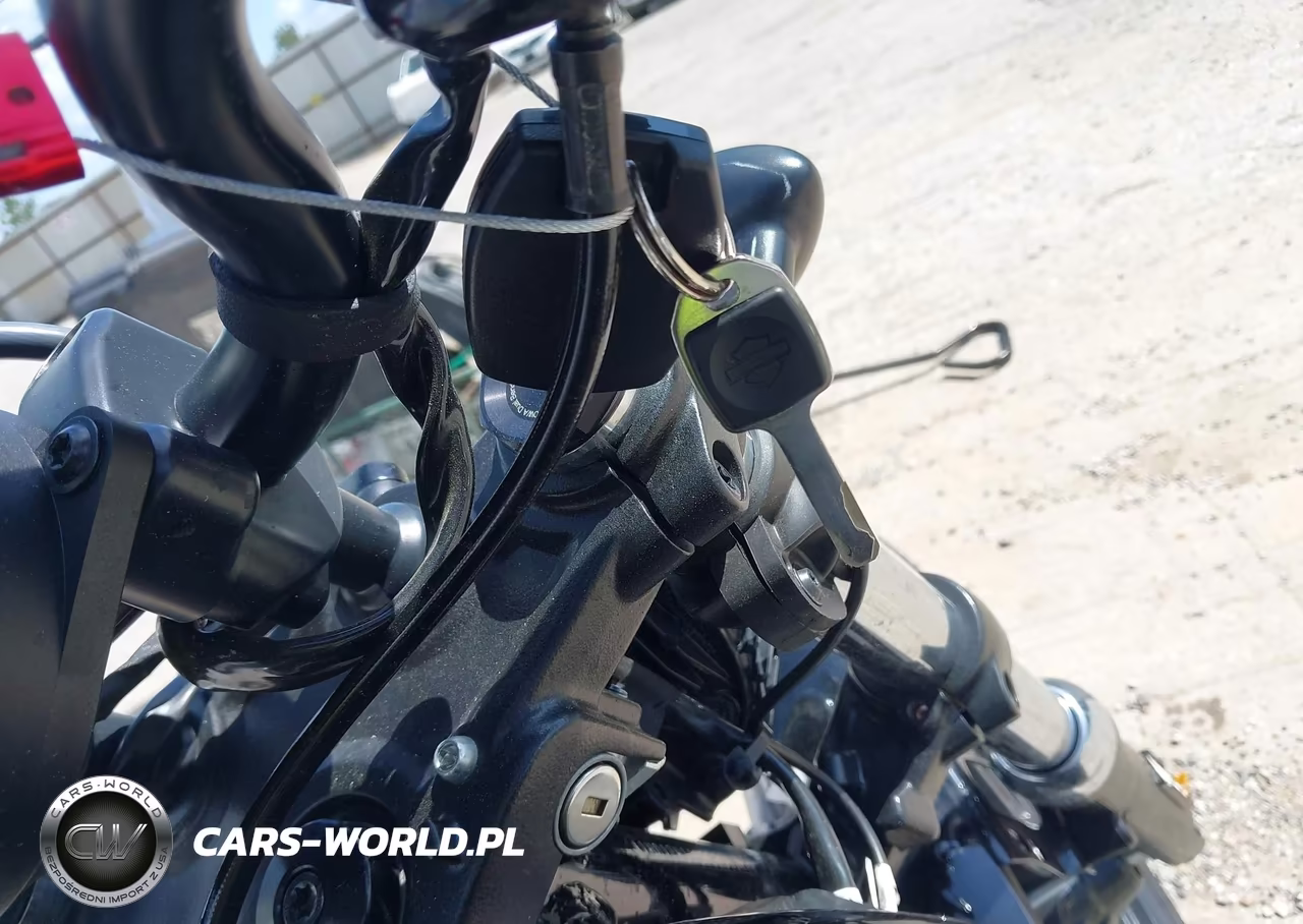 2024 Harley-Davidson Rh975 VIN:1HD1ZH110RB301027 - 11