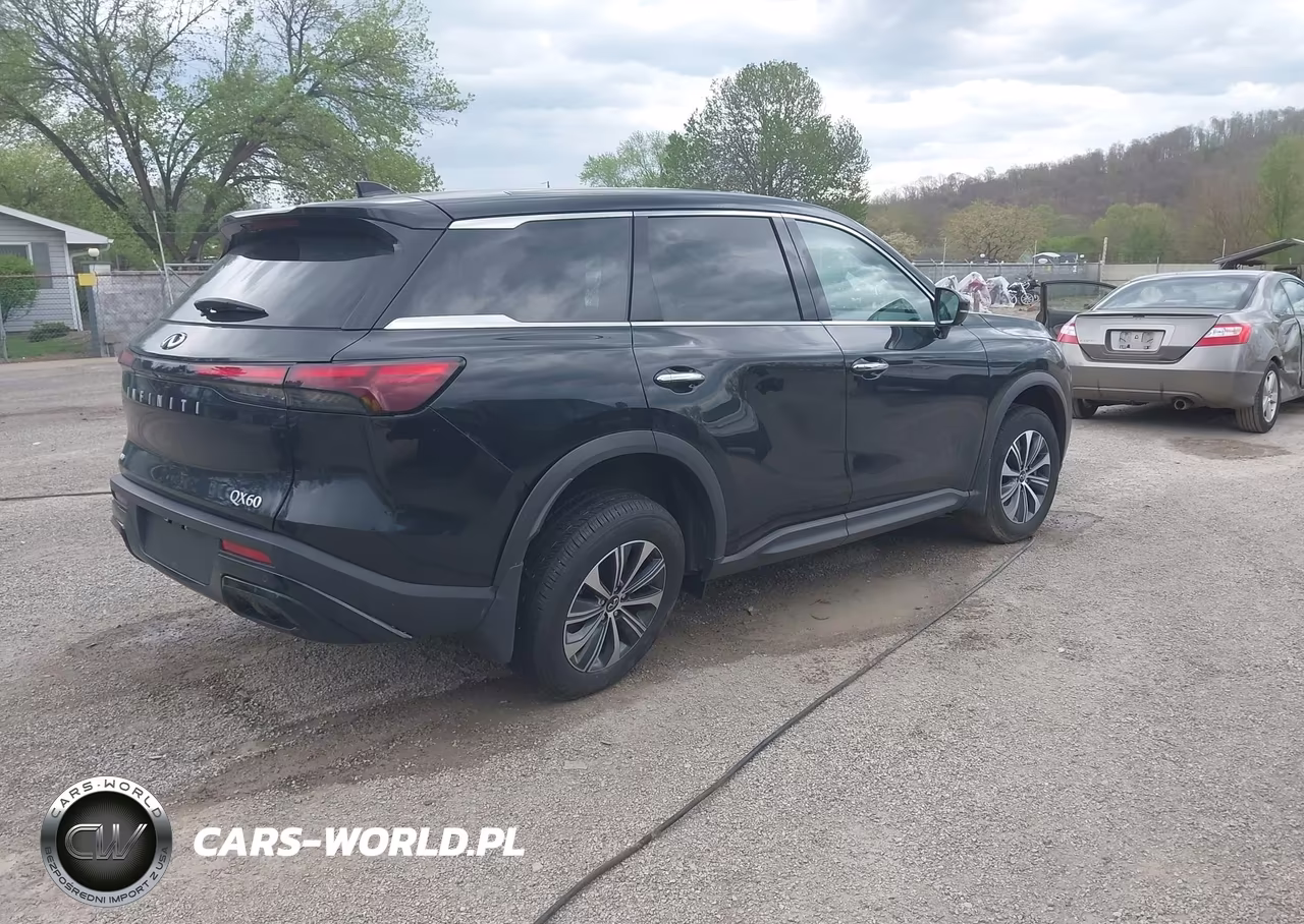 2024 Infiniti Qx60 Pure Awd VIN:5N1DL1ES5RC336484 - 4