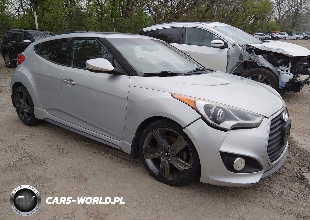 2014 Hyundai Veloster Turbo W-Black