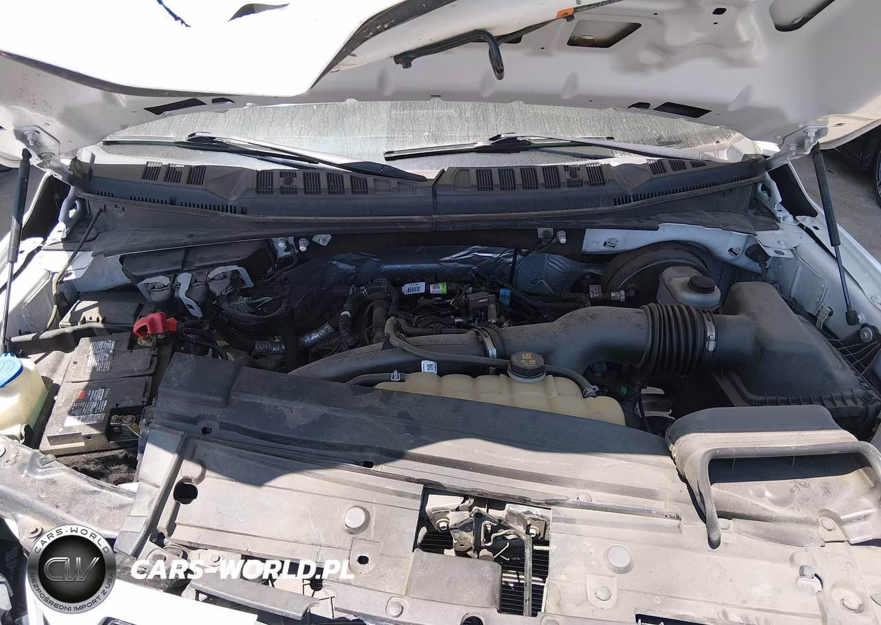 2020 Ford F-150 Xl VIN:1FTEW1CP6LKE84140 - 10