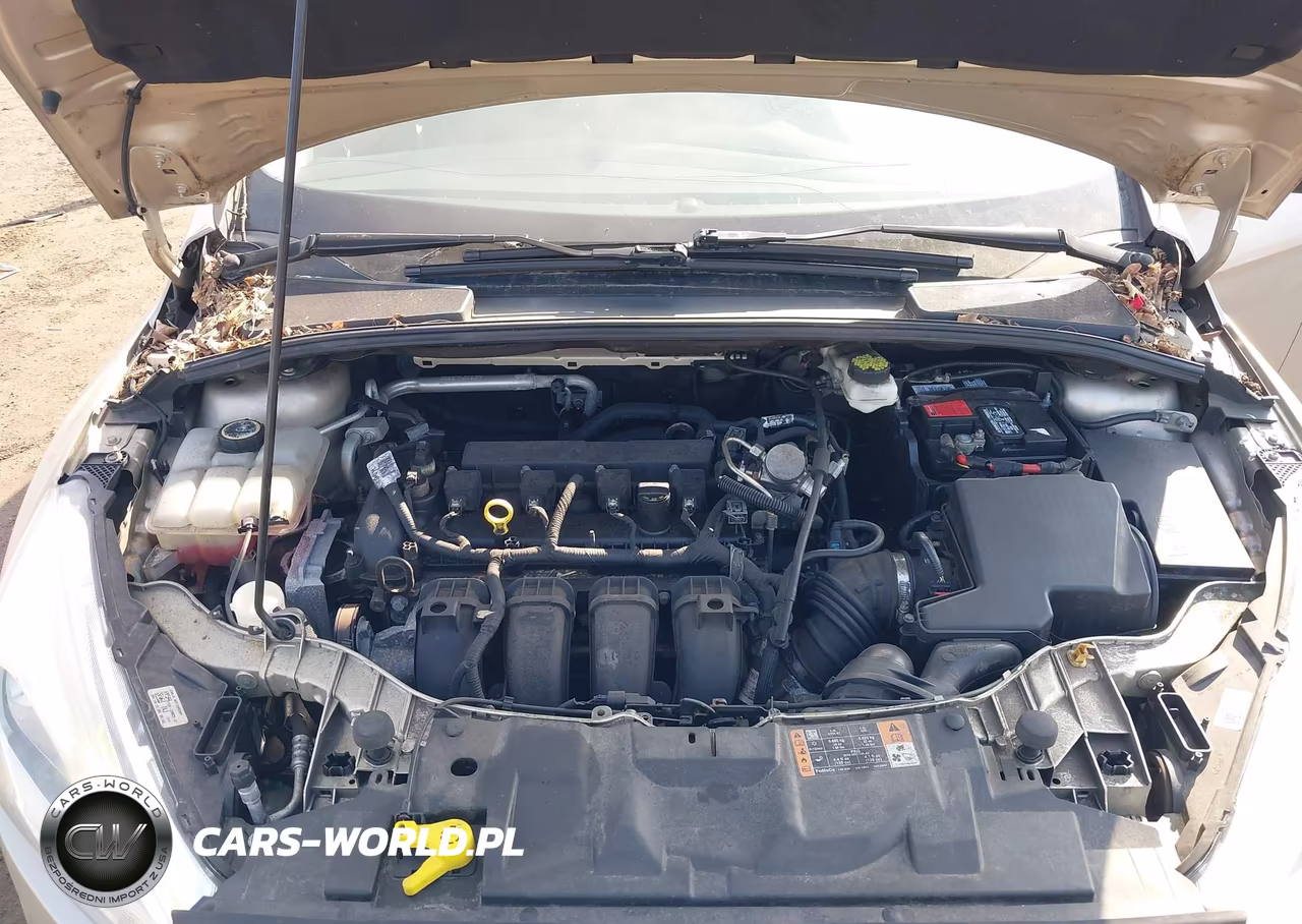 2017 Ford Focus Titanium VIN:1FADP3J24HL335602 - 10