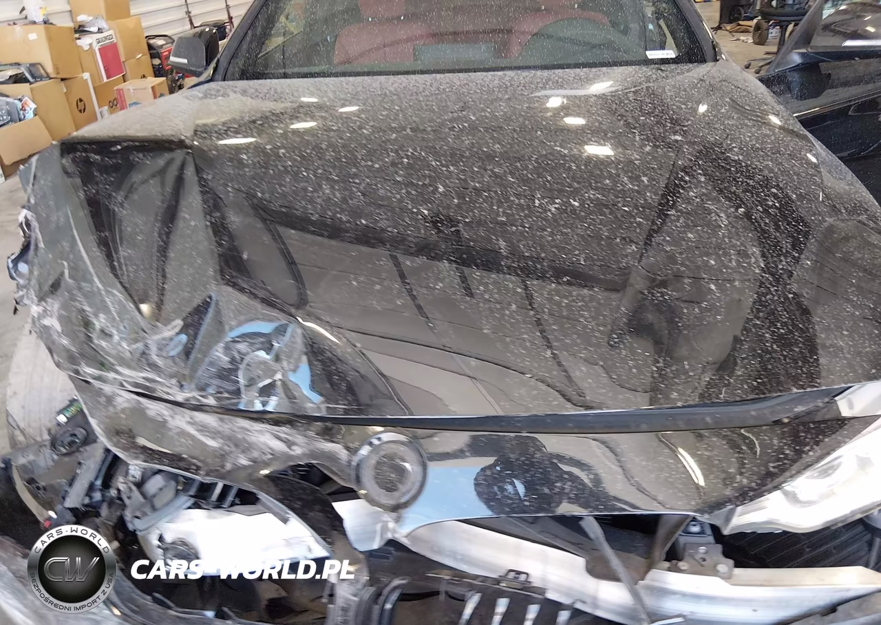 2016 BMW 428I VIN:WBA3N7C55GK227193 - 10