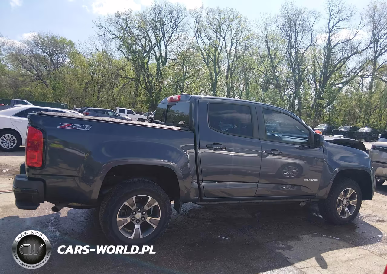 2016 Chevrolet Colorado Z71 VIN:1GCGTDE38G1226243 - 13