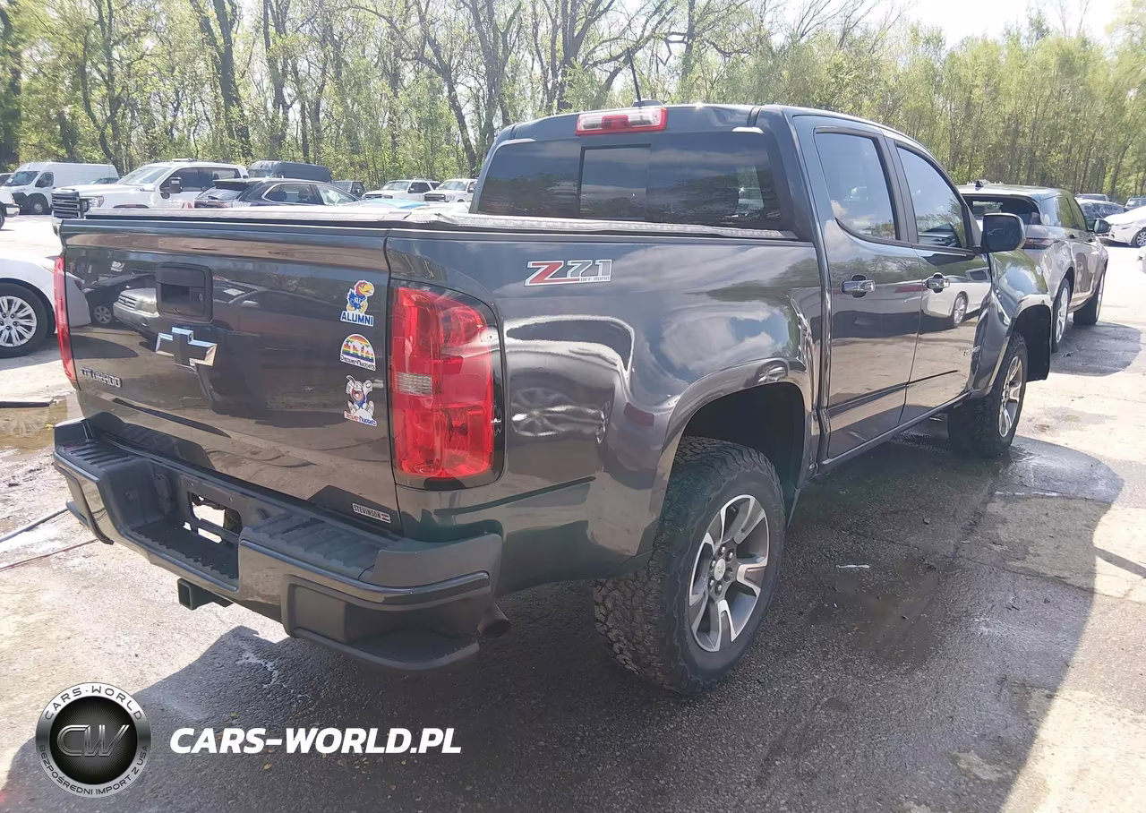 2016 Chevrolet Colorado Z71 VIN:1GCGTDE38G1226243 - 4