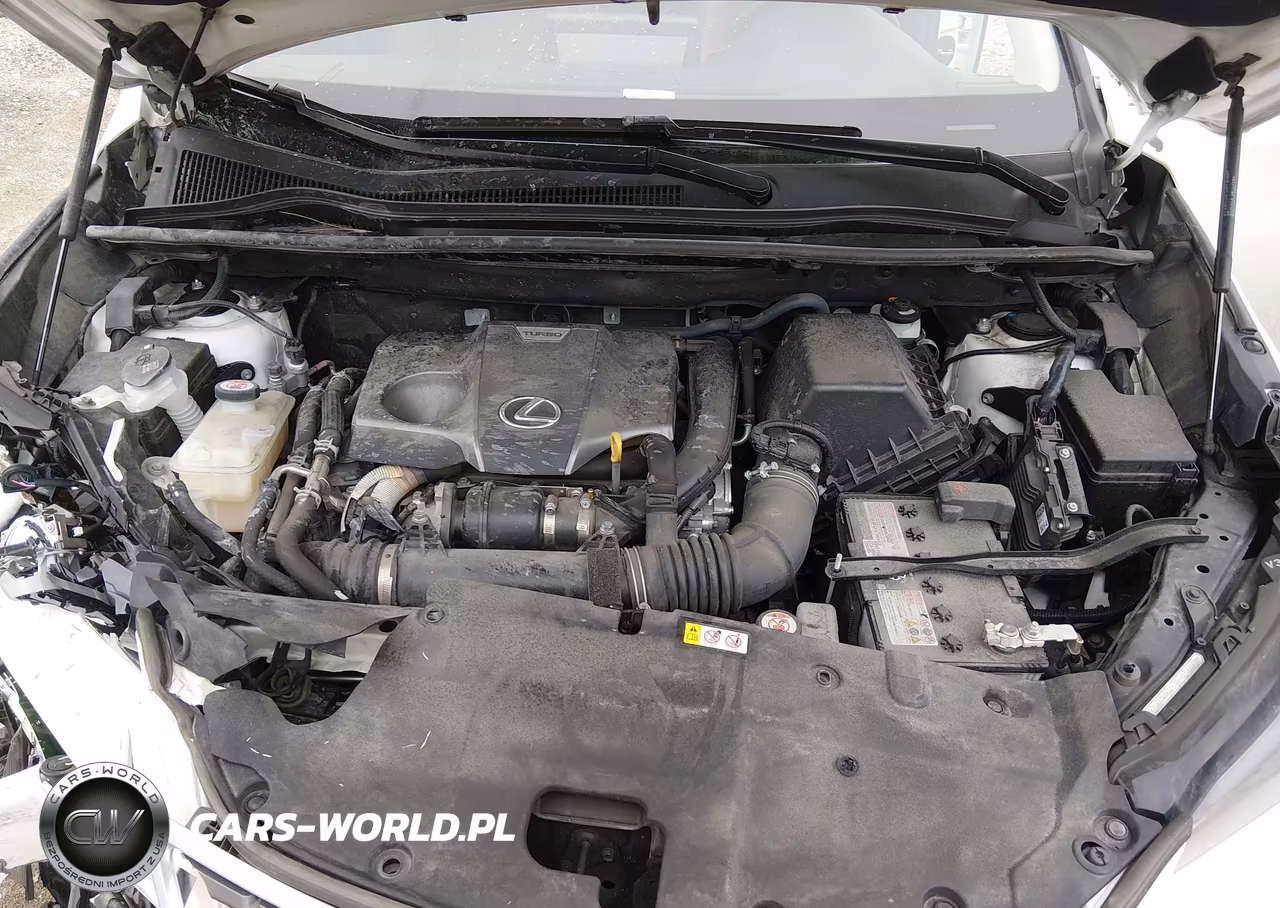2021 Lexus Nx 300 VIN:JTJDARDZ1M5025152 - 10
