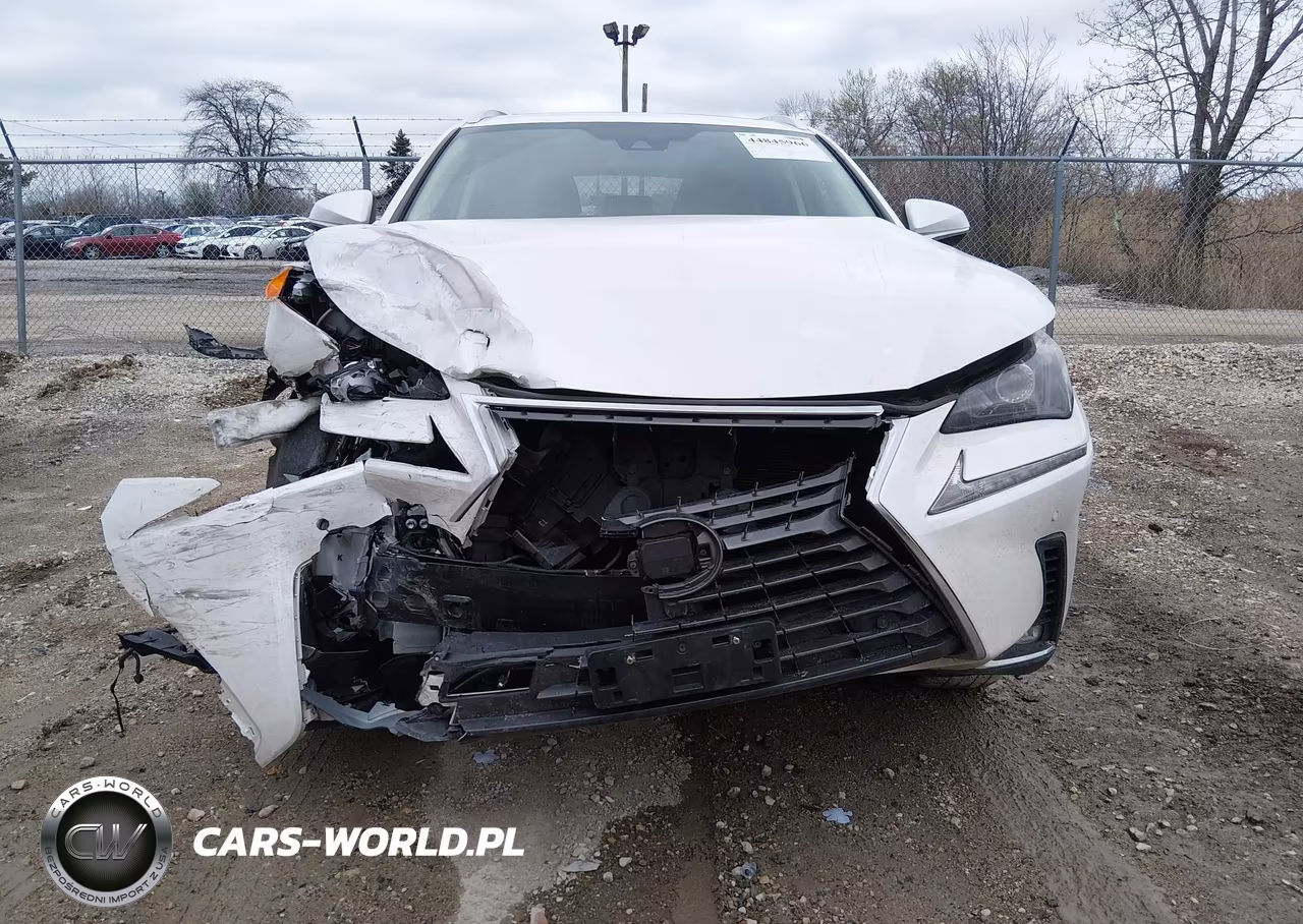 2021 Lexus Nx 300 VIN:JTJDARDZ1M5025152 - 12