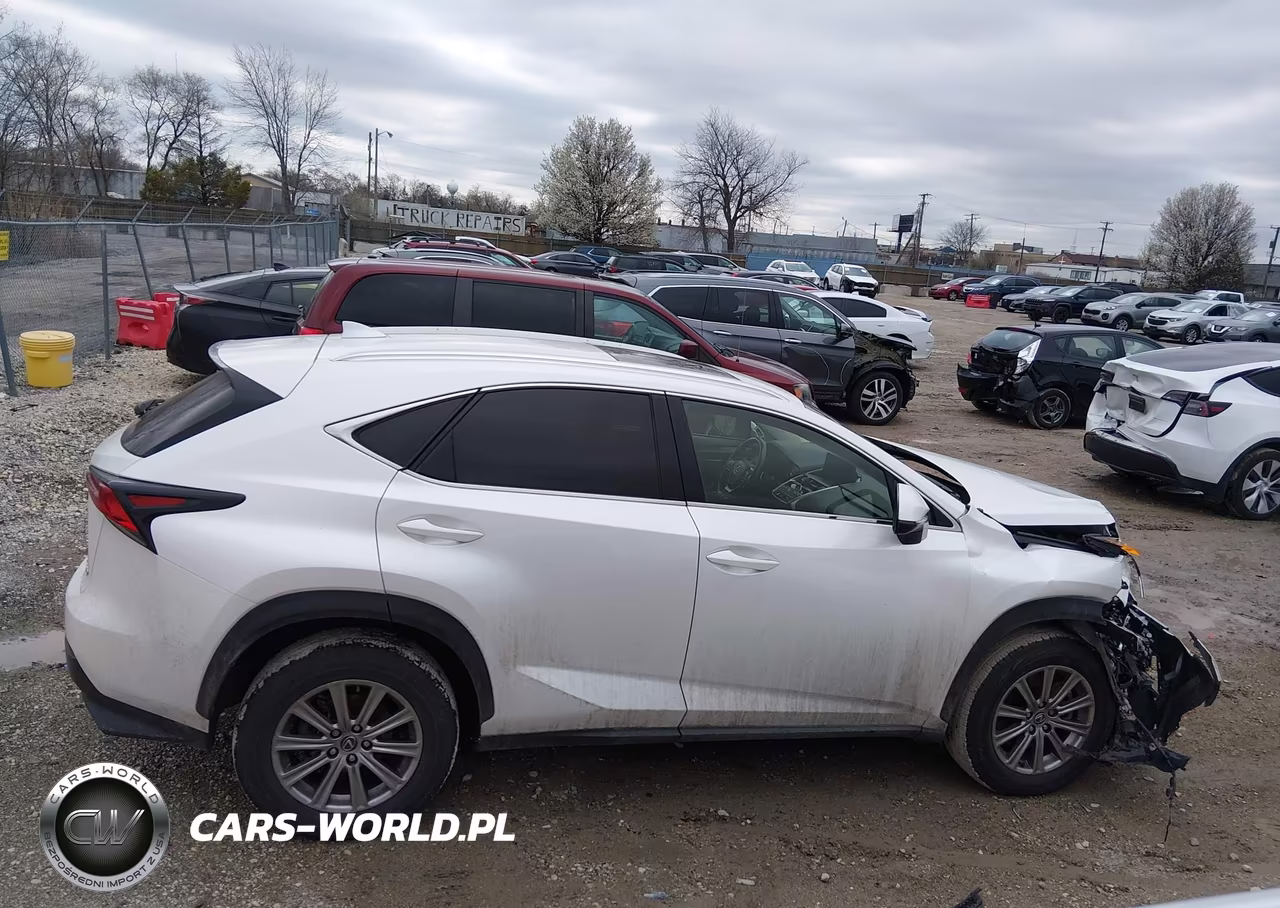 2021 Lexus Nx 300 VIN:JTJDARDZ1M5025152 - 13