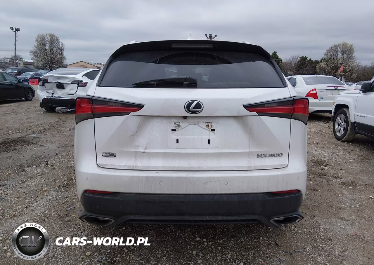 2021 Lexus Nx 300 VIN:JTJDARDZ1M5025152 - 16