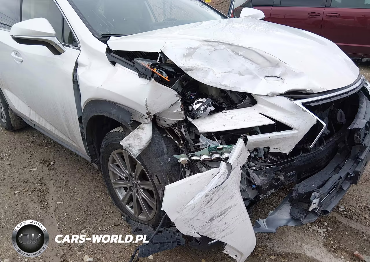 2021 Lexus Nx 300 VIN:JTJDARDZ1M5025152 - 17