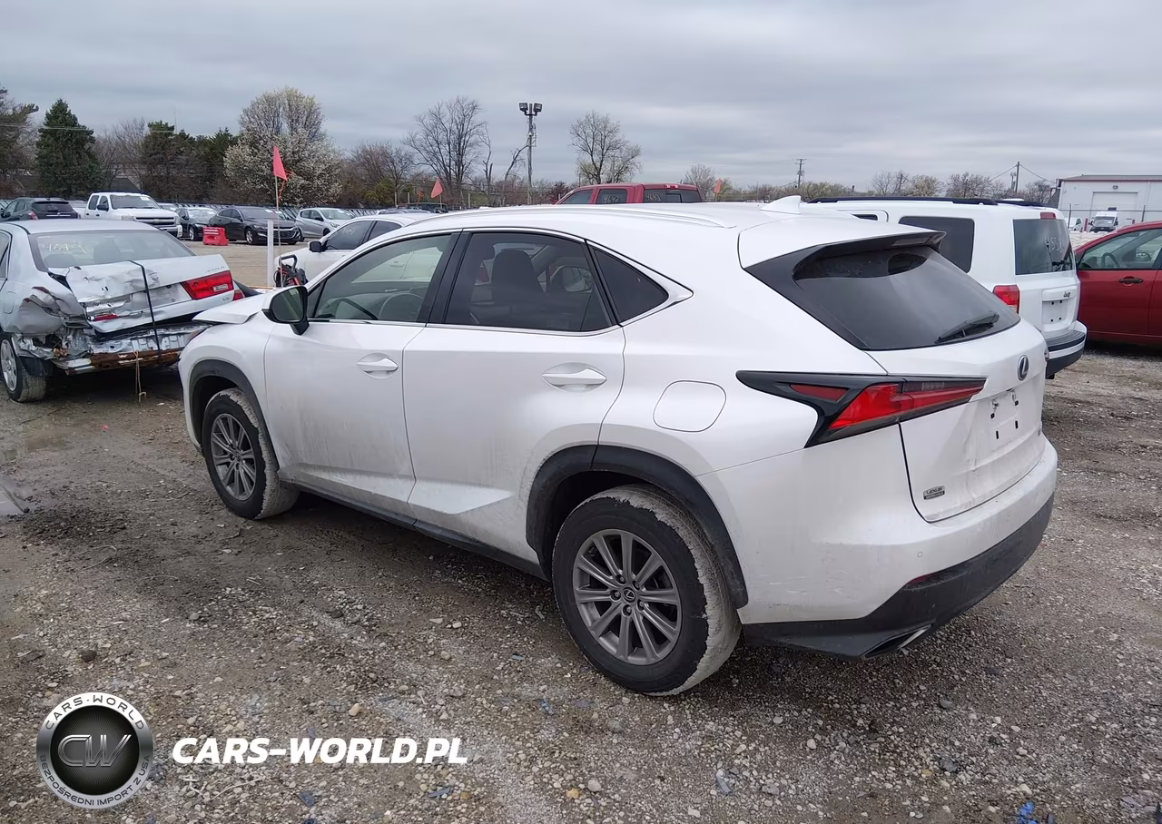 2021 Lexus Nx 300 VIN:JTJDARDZ1M5025152 - 3