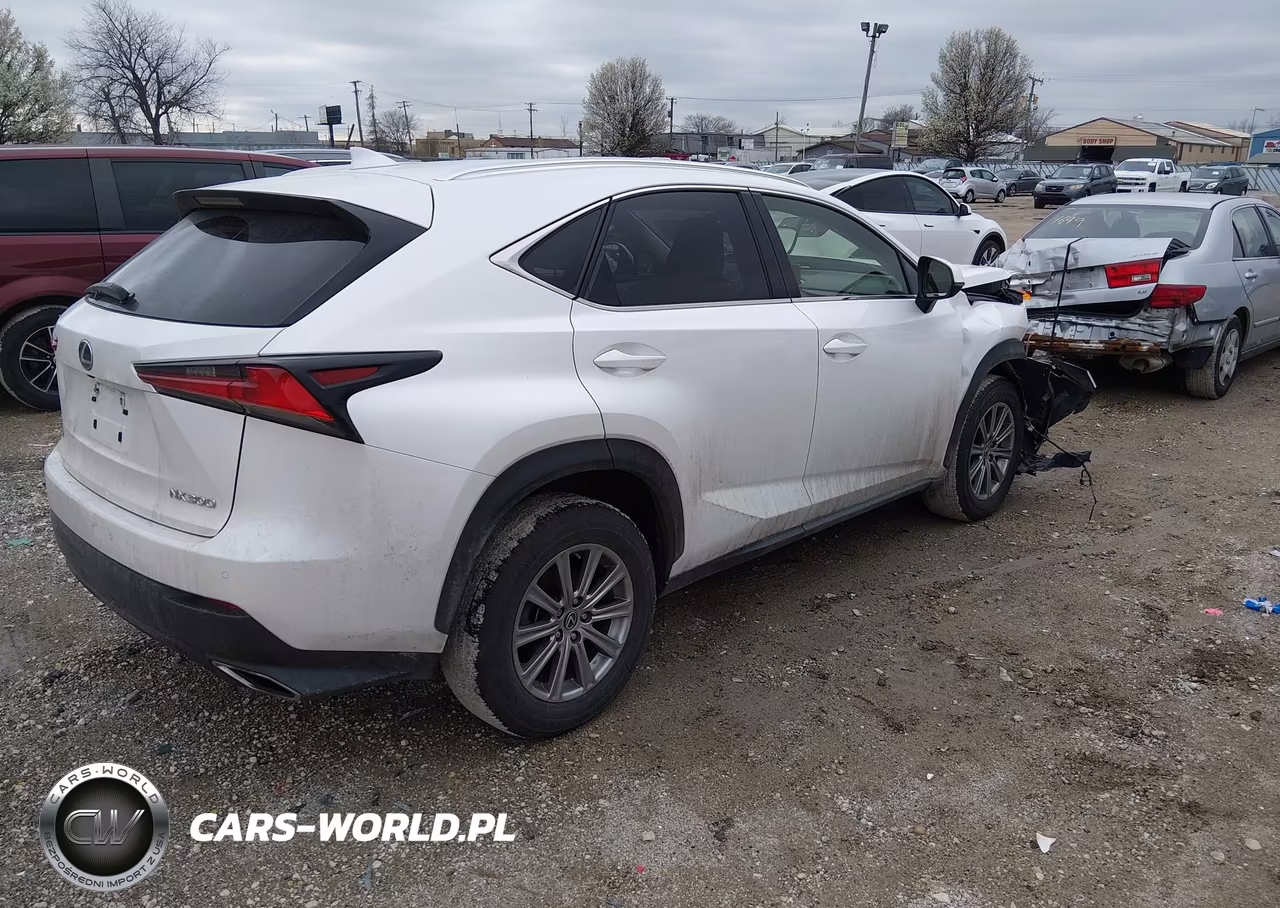 2021 Lexus Nx 300 VIN:JTJDARDZ1M5025152 - 4