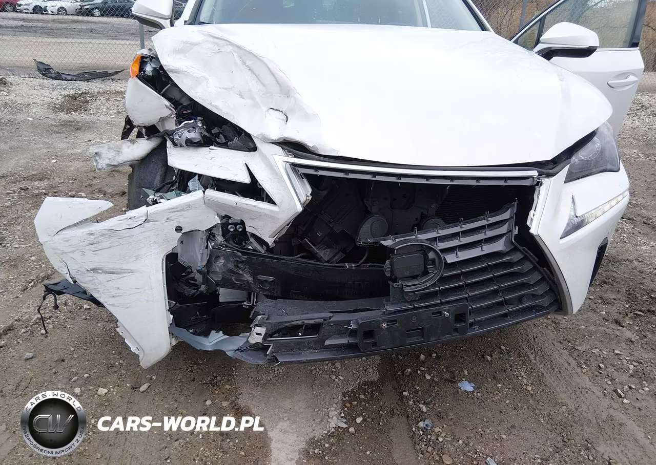 2021 Lexus Nx 300 VIN:JTJDARDZ1M5025152 - 6