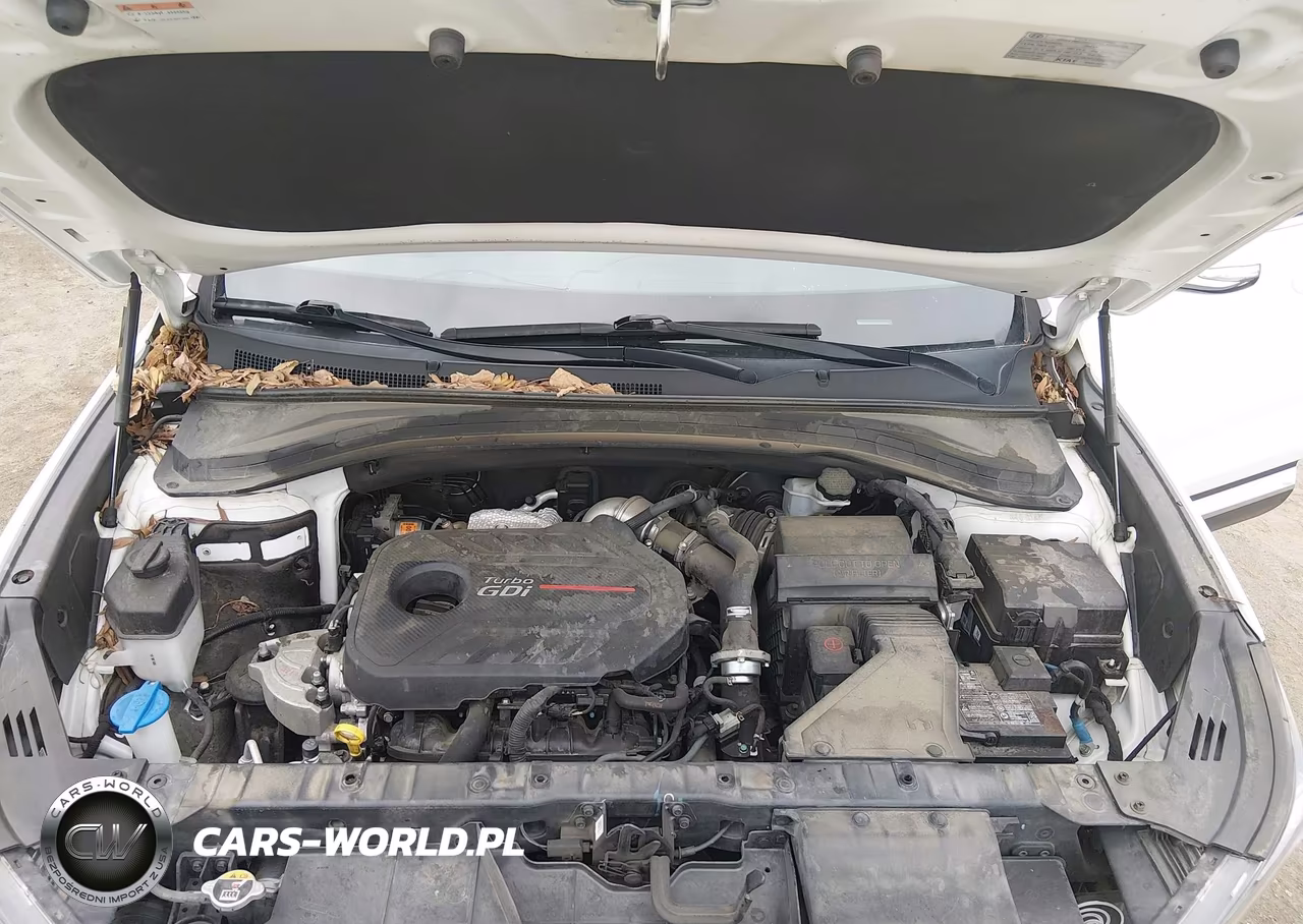 2020 Hyundai Santa Fe Sel 2.0T VIN:5NMS33AA7LH247836 - 10
