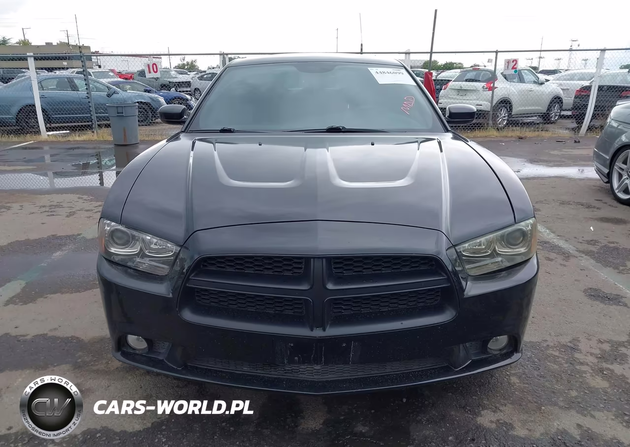 2013 Dodge Charger R-T VIN:2C3CDXCT7DH742935 - 12
