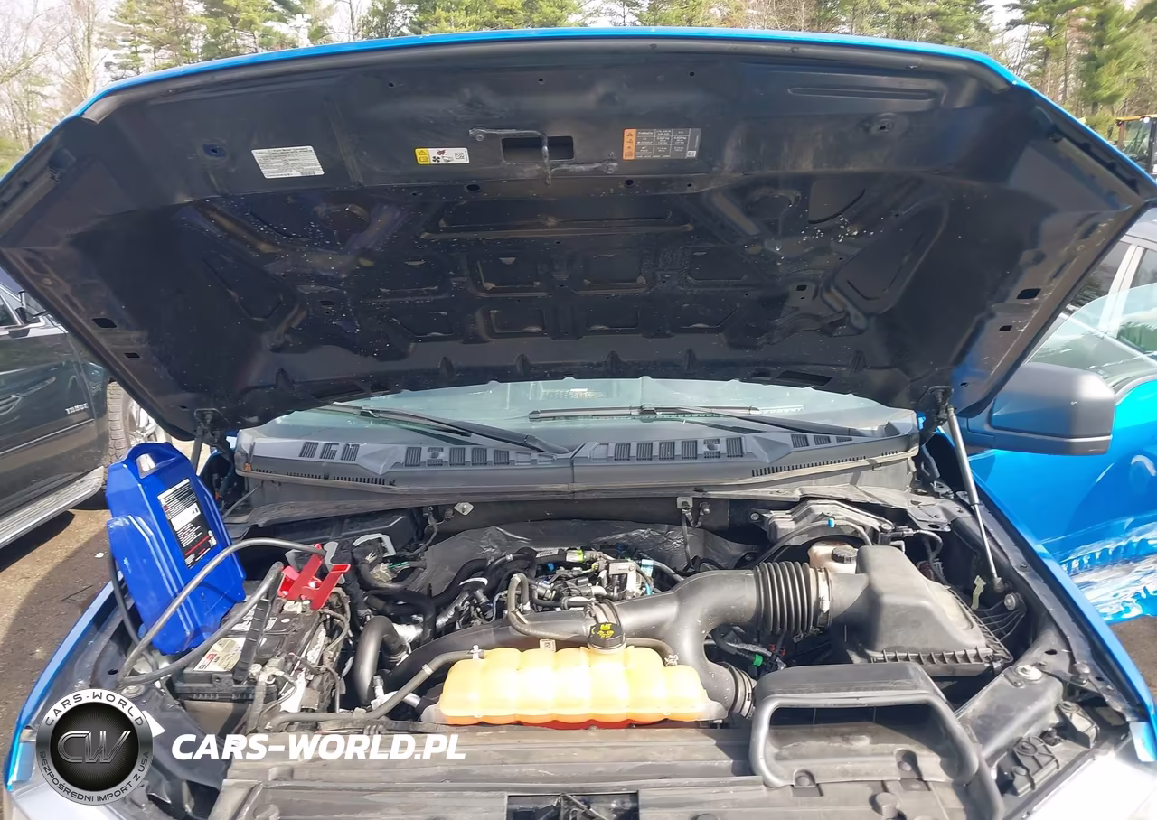 2019 Ford F-150 Xl VIN:1FTEW1EP8KFA48393 - 10