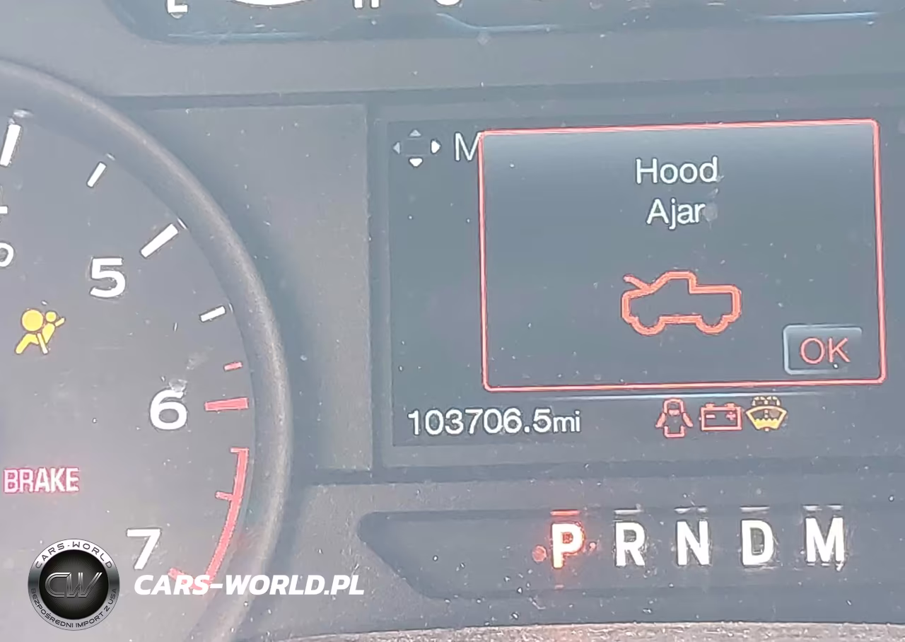 2019 Ford F-150 Xl VIN:1FTEW1EP8KFA48393 - 16