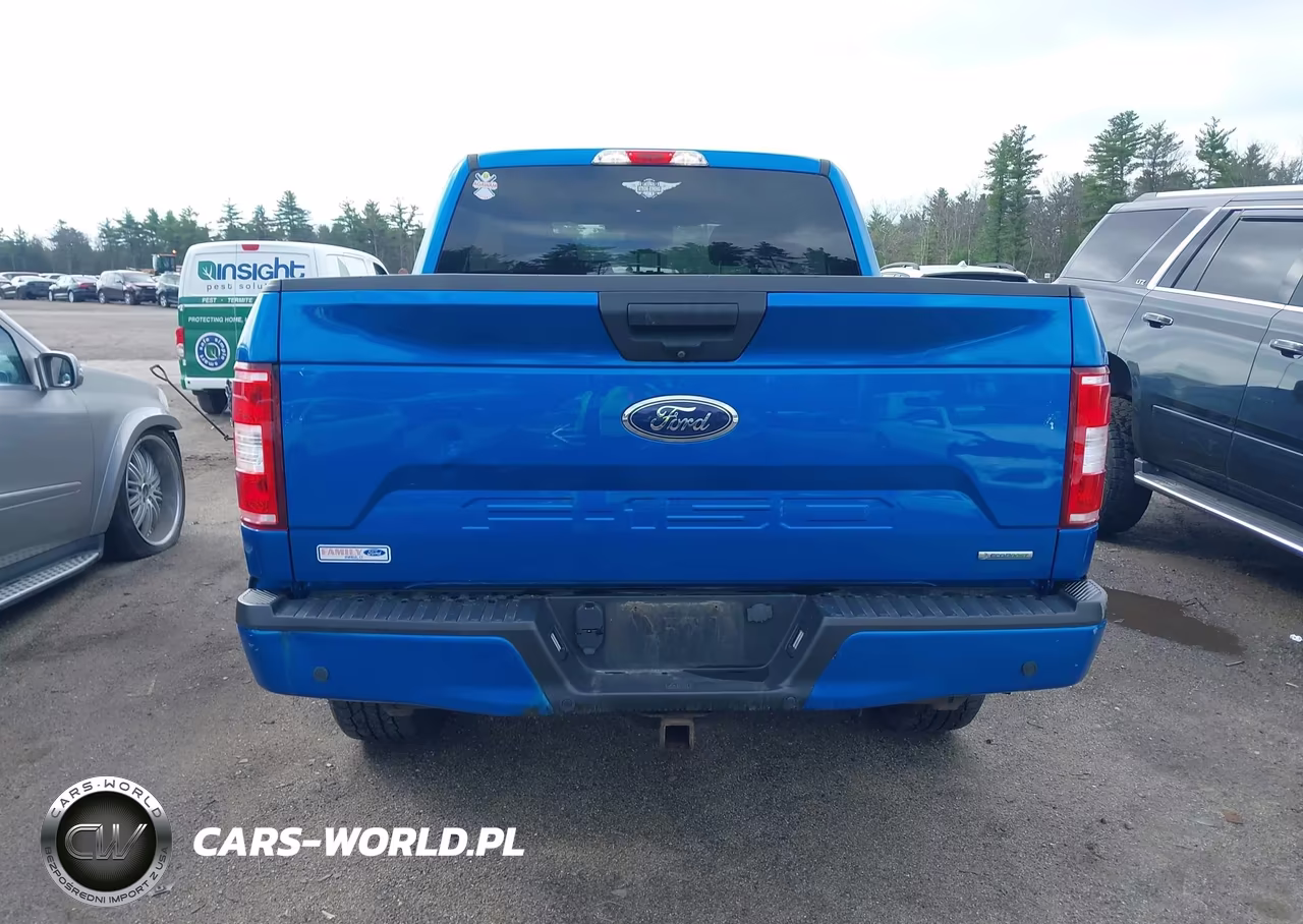 2019 Ford F-150 Xl VIN:1FTEW1EP8KFA48393 - 17