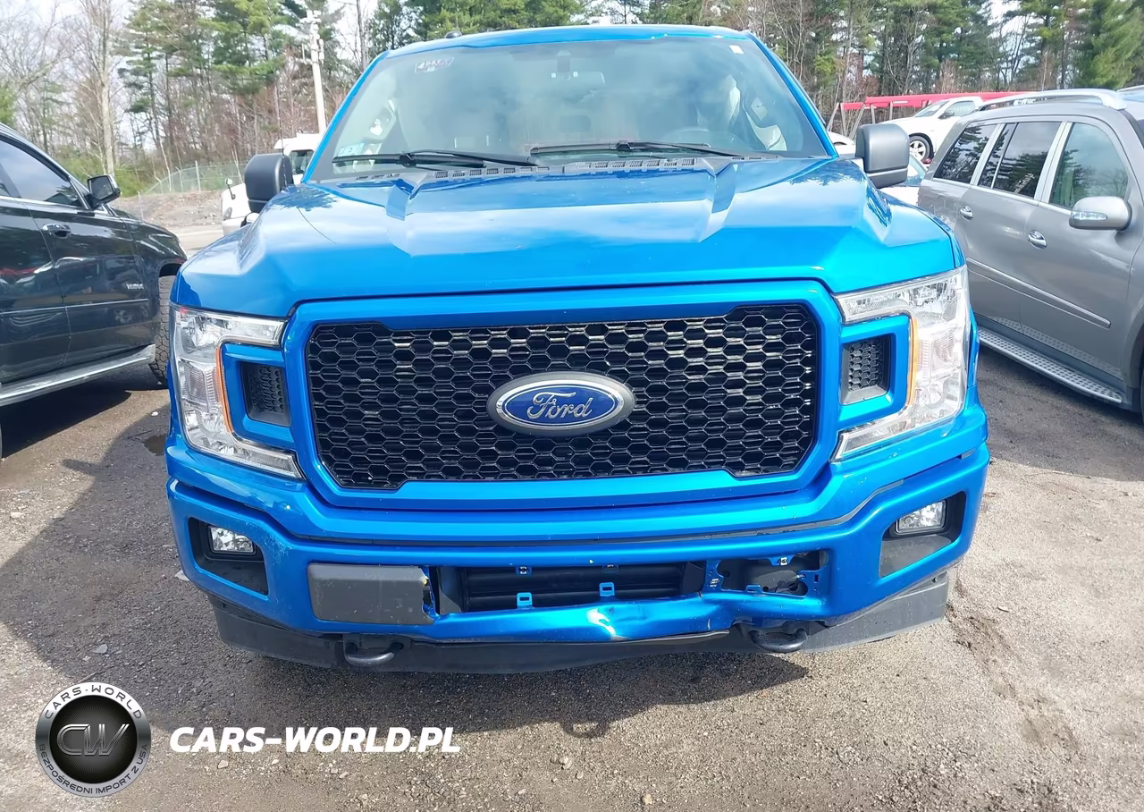 2019 Ford F-150 Xl VIN:1FTEW1EP8KFA48393 - 18