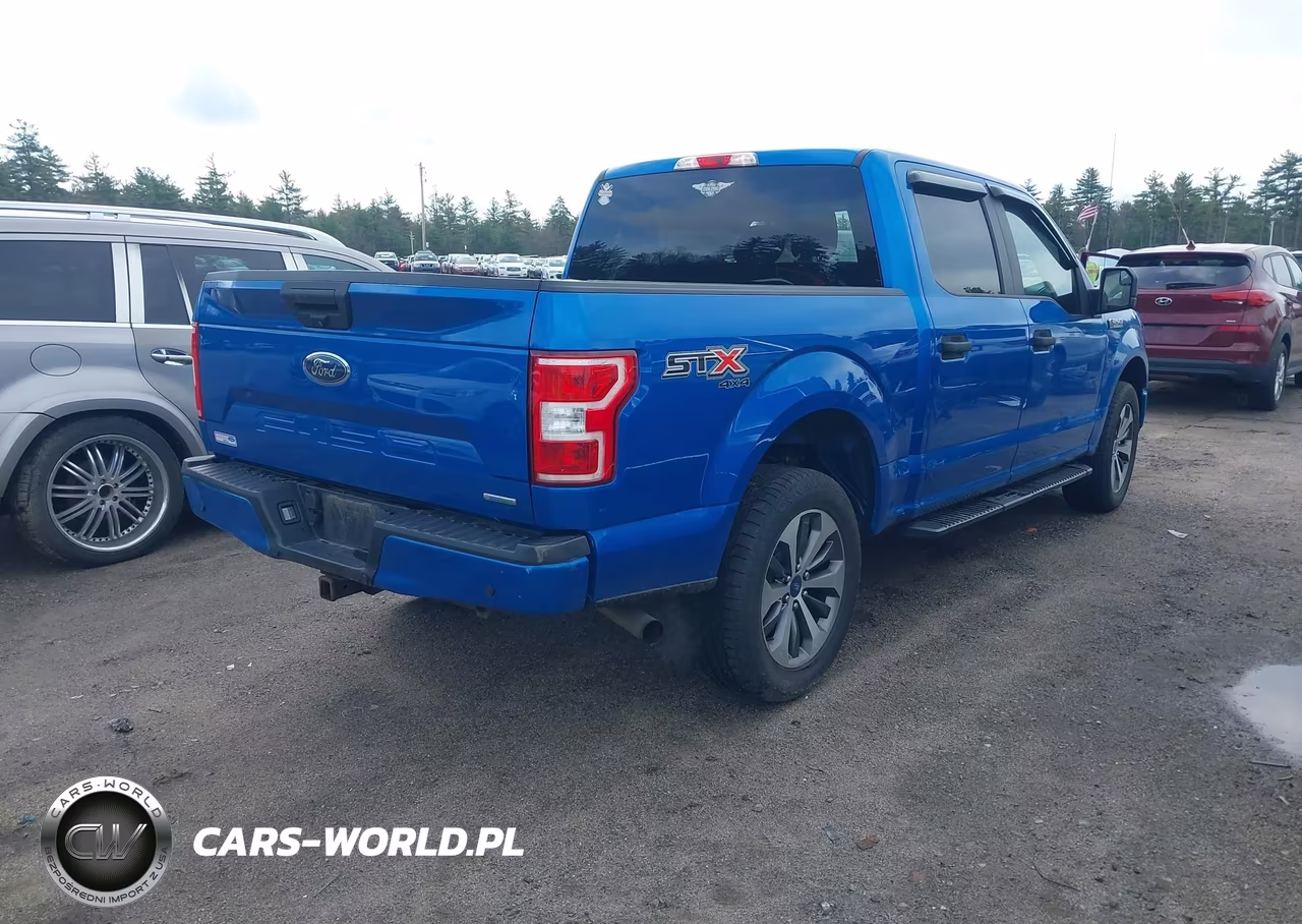 2019 Ford F-150 Xl VIN:1FTEW1EP8KFA48393 - 4
