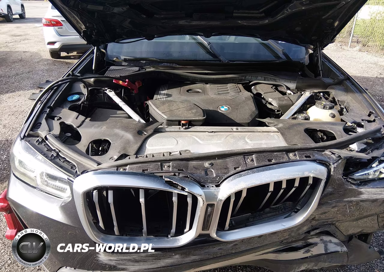 2023 BMW X3 Sdrive30I VIN:5UX43DP00P9R39515 - 10