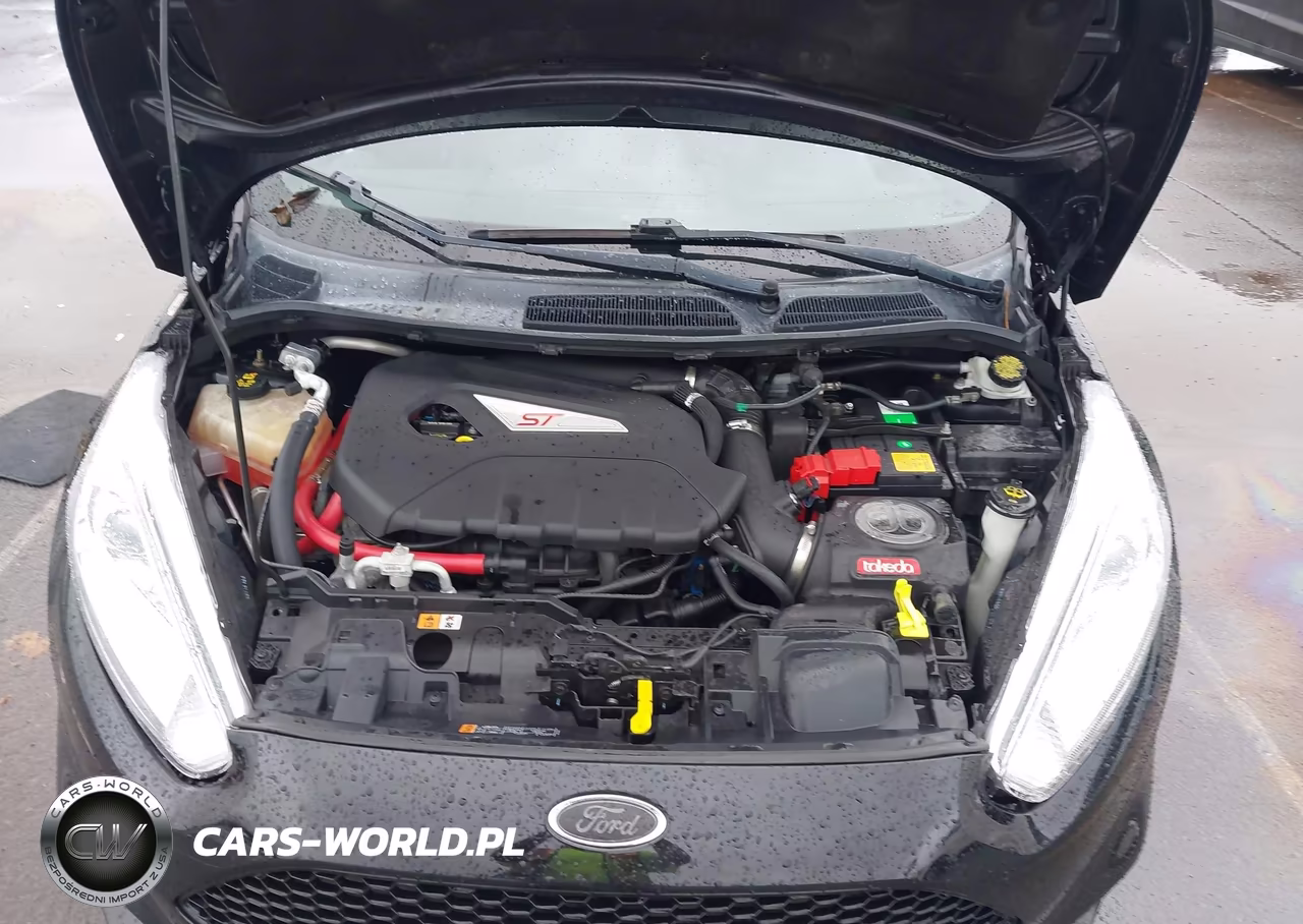 2019 Ford Fiesta St VIN:3FADP4GX9KM164327 - 10