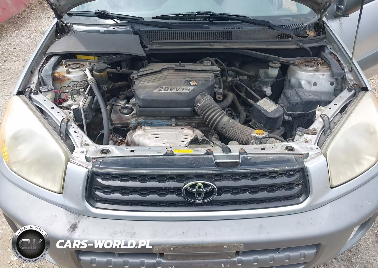 2003 Toyota Rav4 VIN:JTEHH20V436096909 - 10