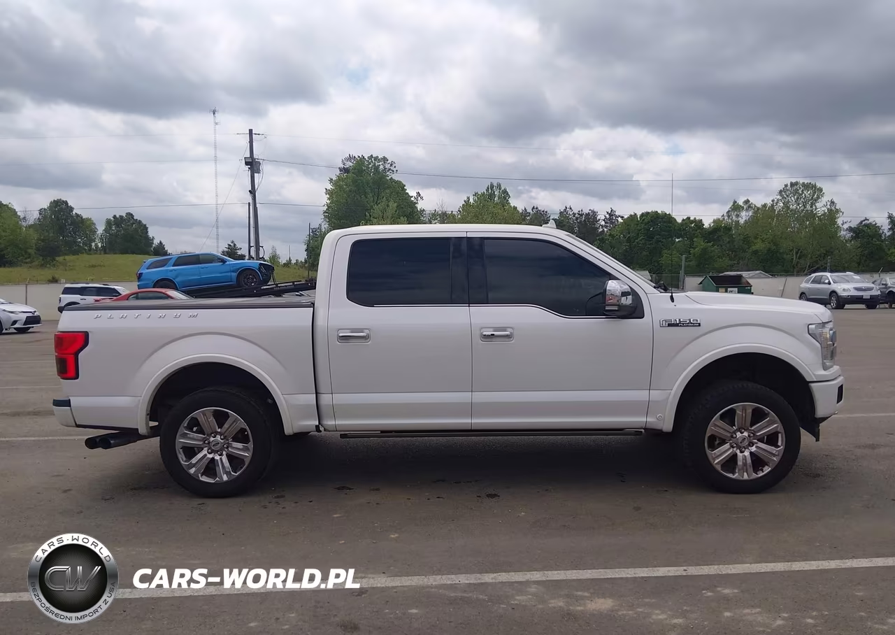2018 Ford F-150 Platinum VIN:1FTEW1E52JFC68397 - 13