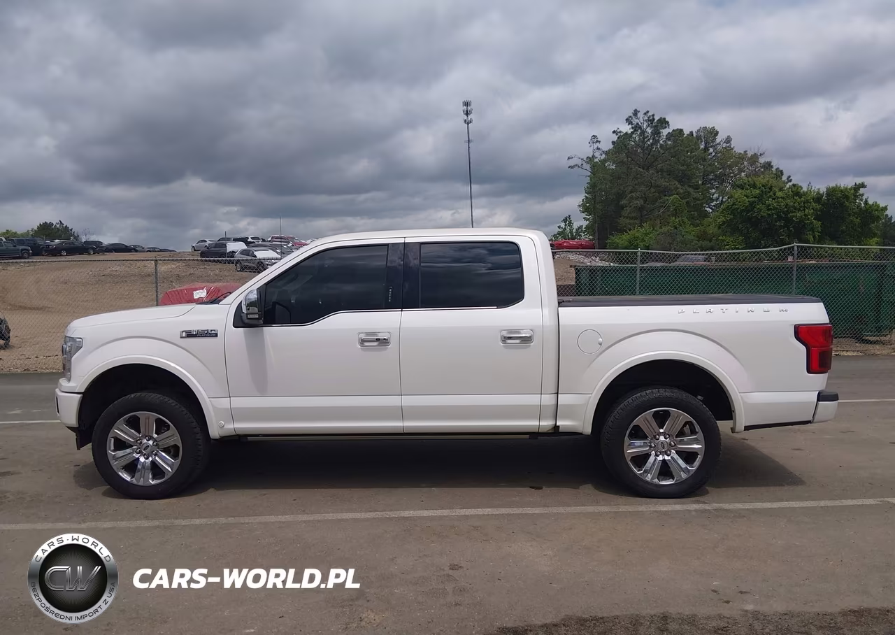 2018 Ford F-150 Platinum VIN:1FTEW1E52JFC68397 - 14
