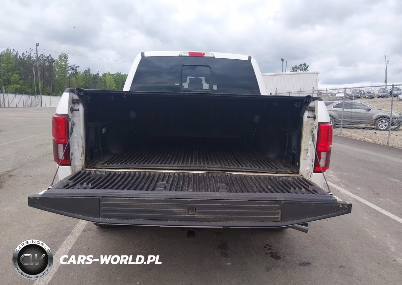 2018 Ford F-150 Platinum VIN:1FTEW1E52JFC68397 - 16