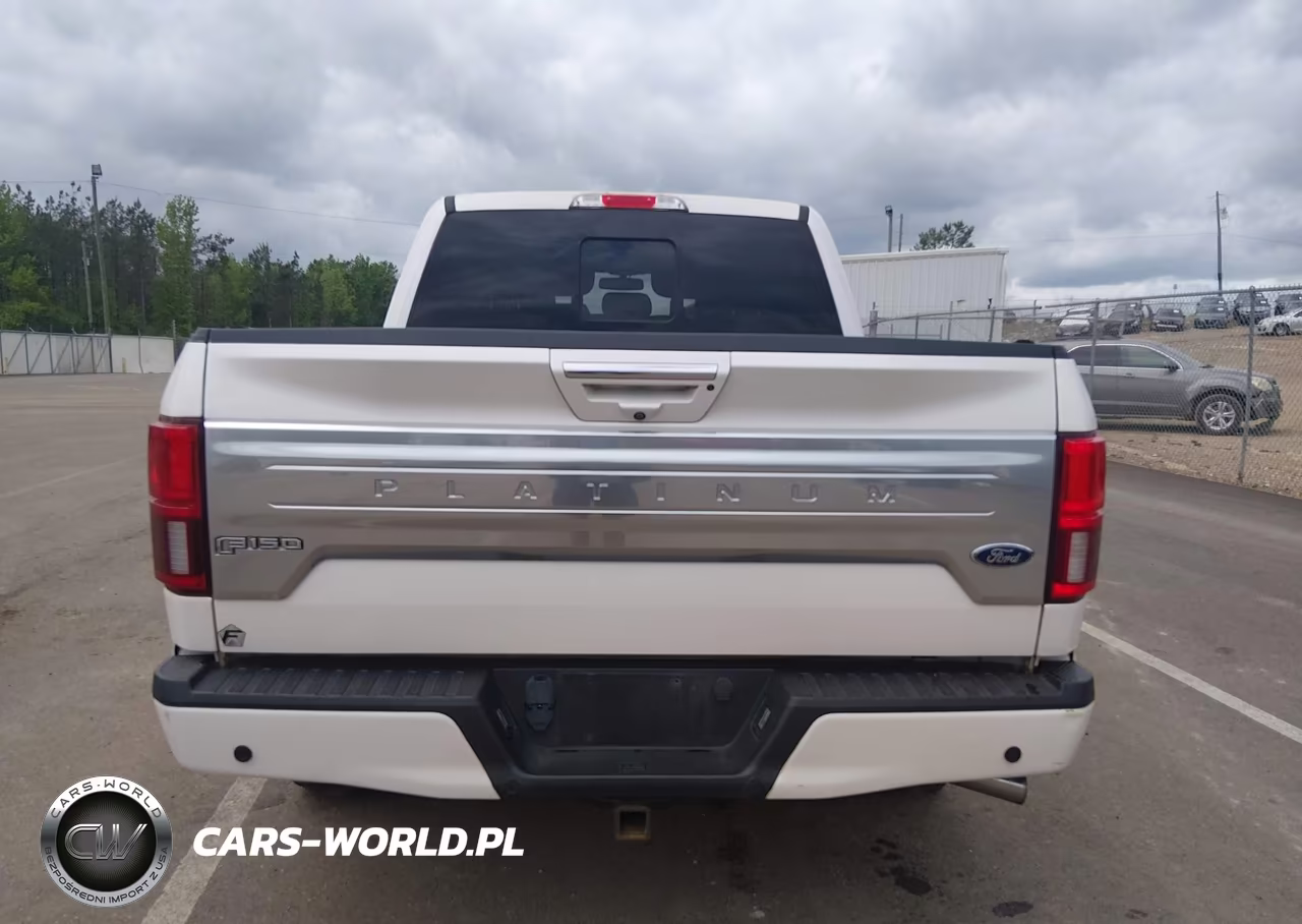 2018 Ford F-150 Platinum VIN:1FTEW1E52JFC68397 - 19