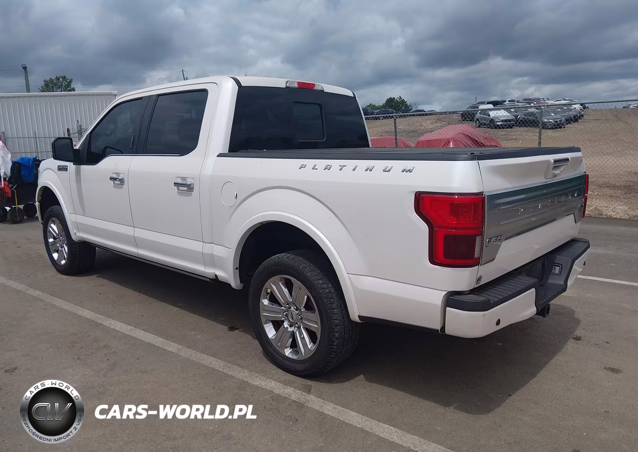 2018 Ford F-150 Platinum VIN:1FTEW1E52JFC68397 - 3