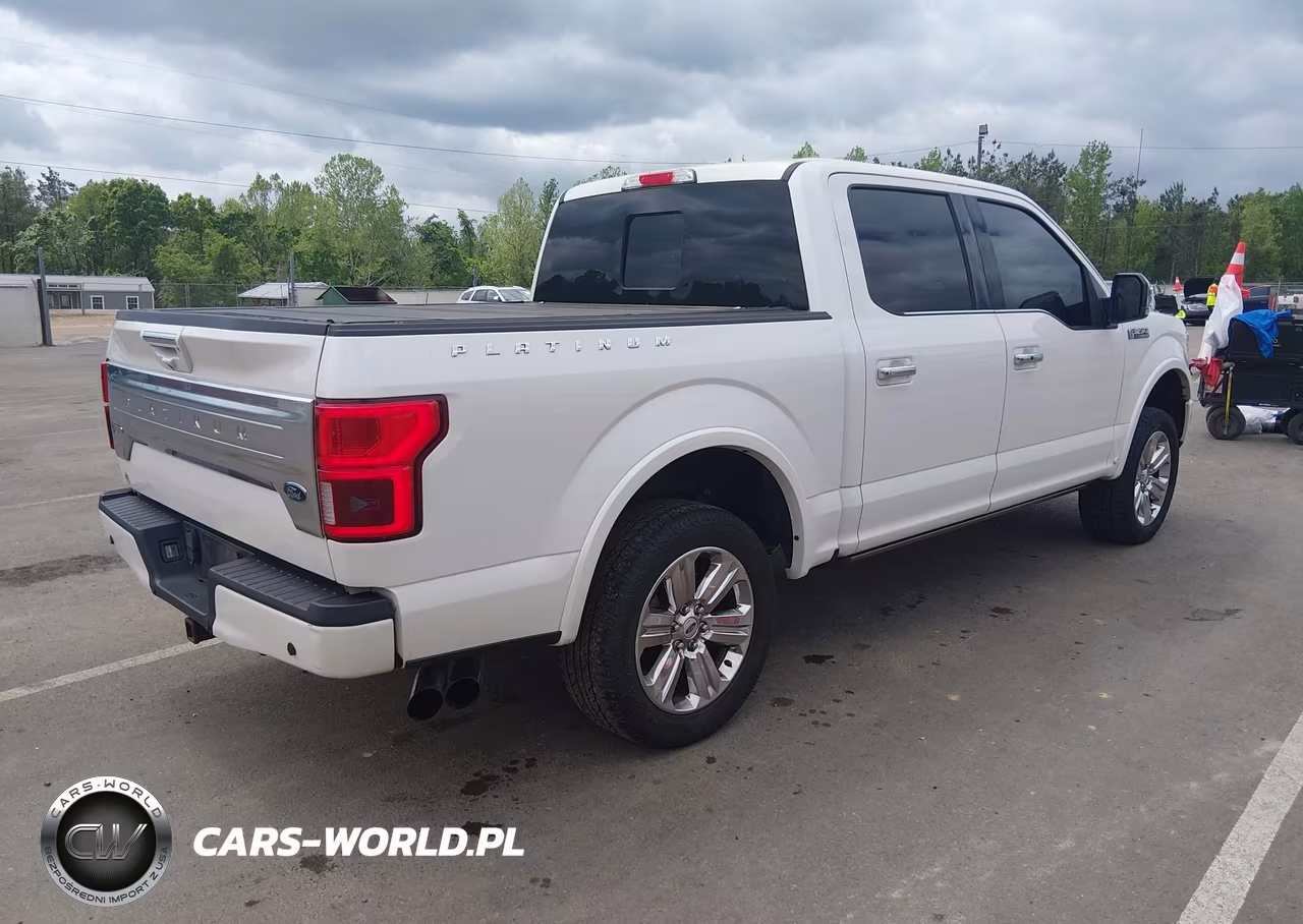 2018 Ford F-150 Platinum VIN:1FTEW1E52JFC68397 - 4