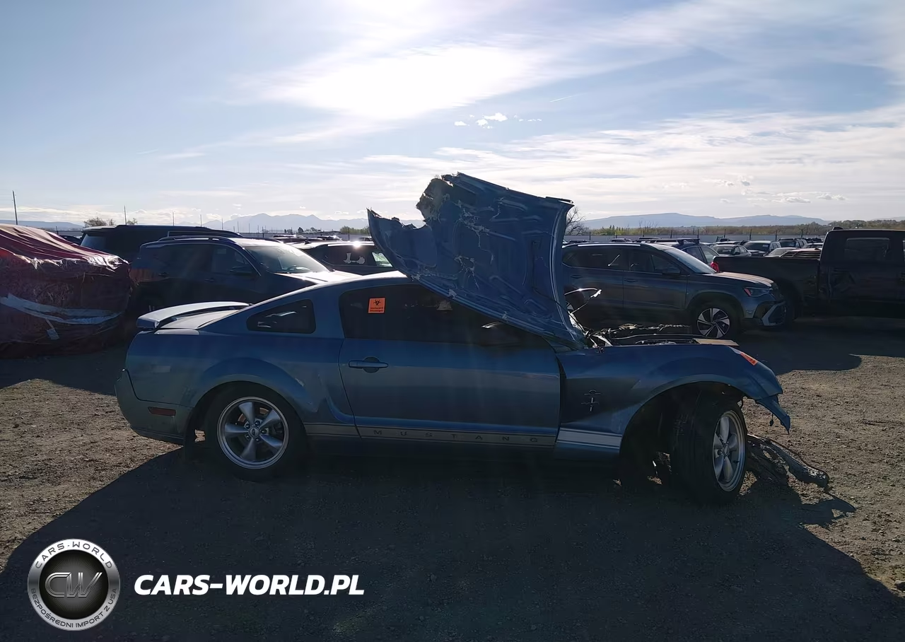 2006 Ford Mustang V6 VIN:1ZVHT80N565177138 - 12