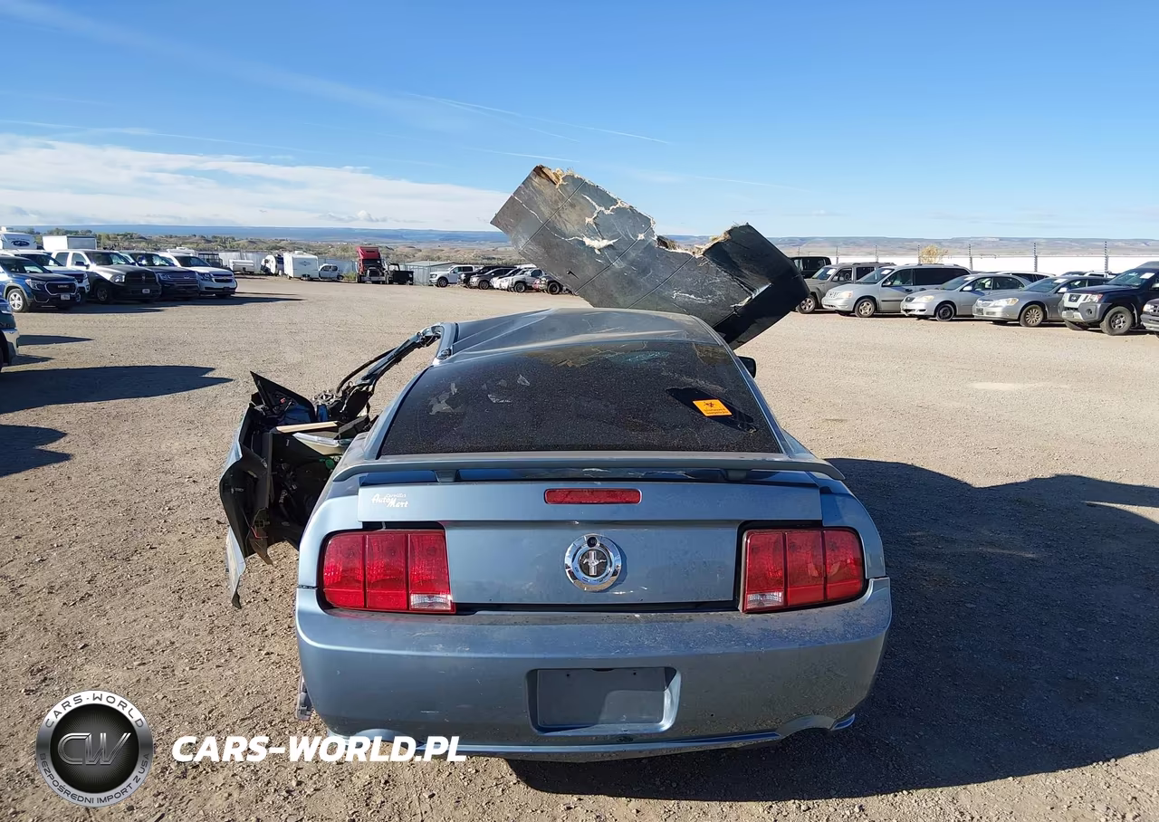 2006 Ford Mustang V6 VIN:1ZVHT80N565177138 - 15
