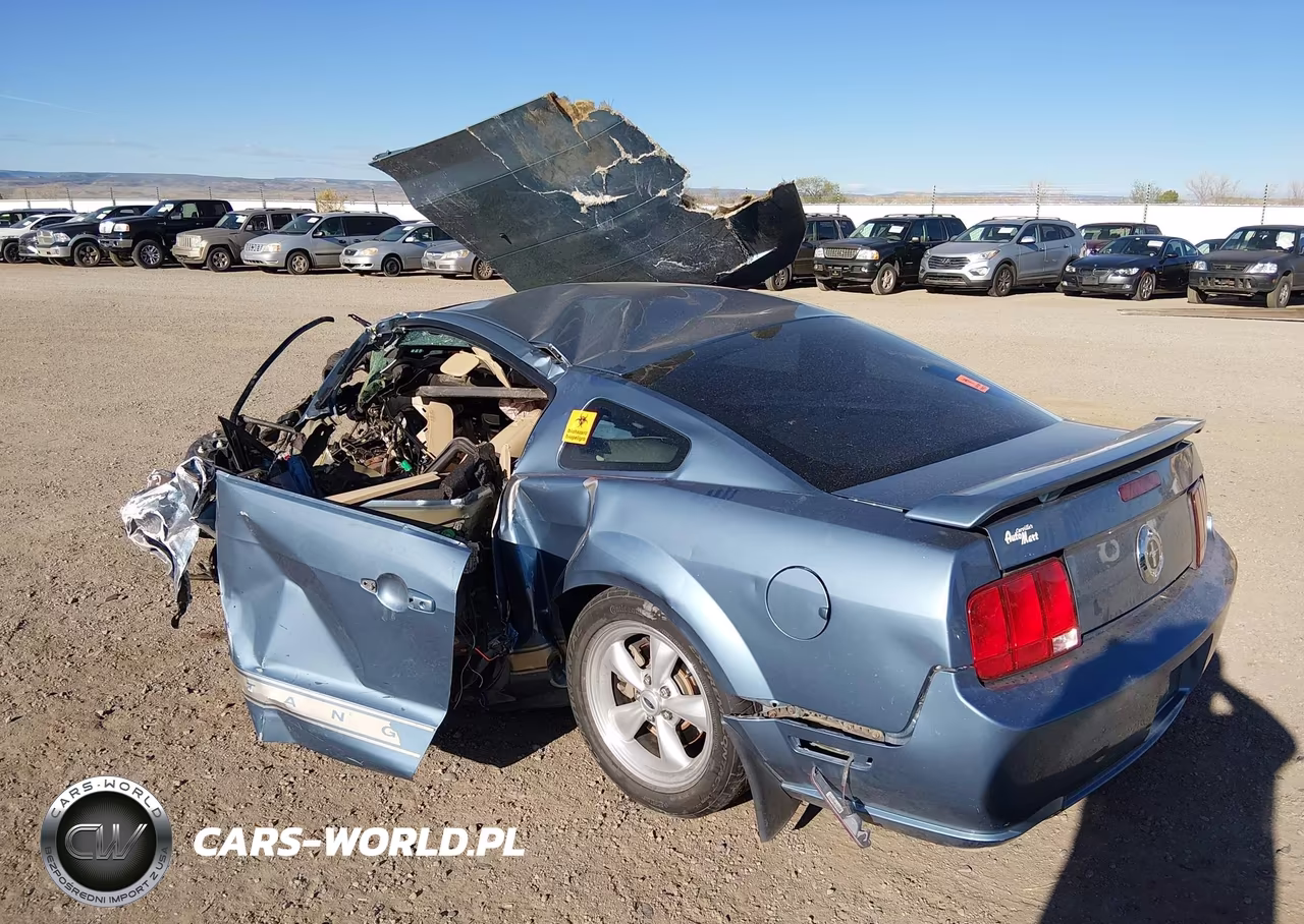 2006 Ford Mustang V6 VIN:1ZVHT80N565177138 - 3
