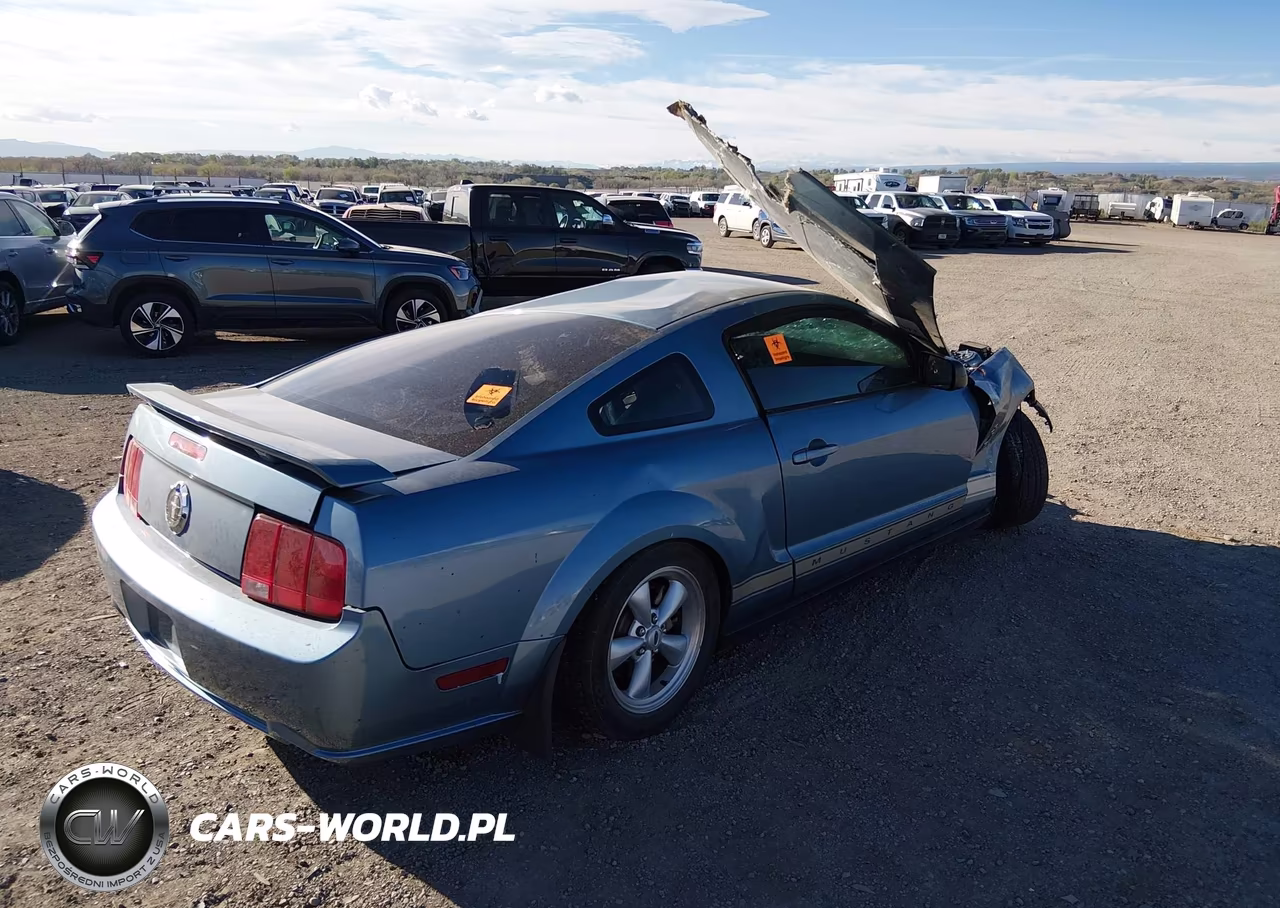 2006 Ford Mustang V6 VIN:1ZVHT80N565177138 - 4