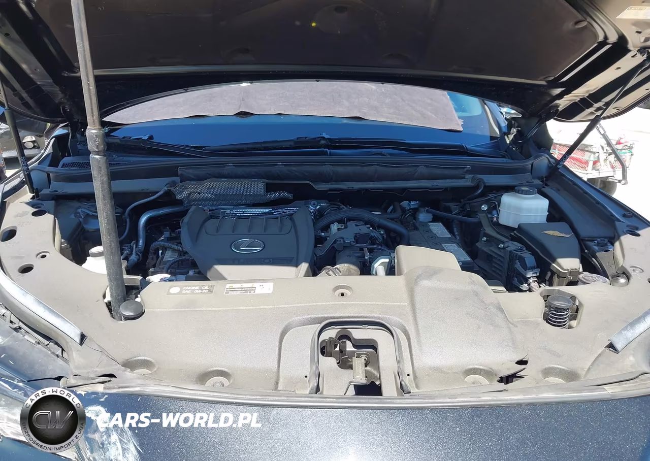 2024 Lexus Rx 350 Premium Plus VIN:2T2BAMBA1RC040623 - 10