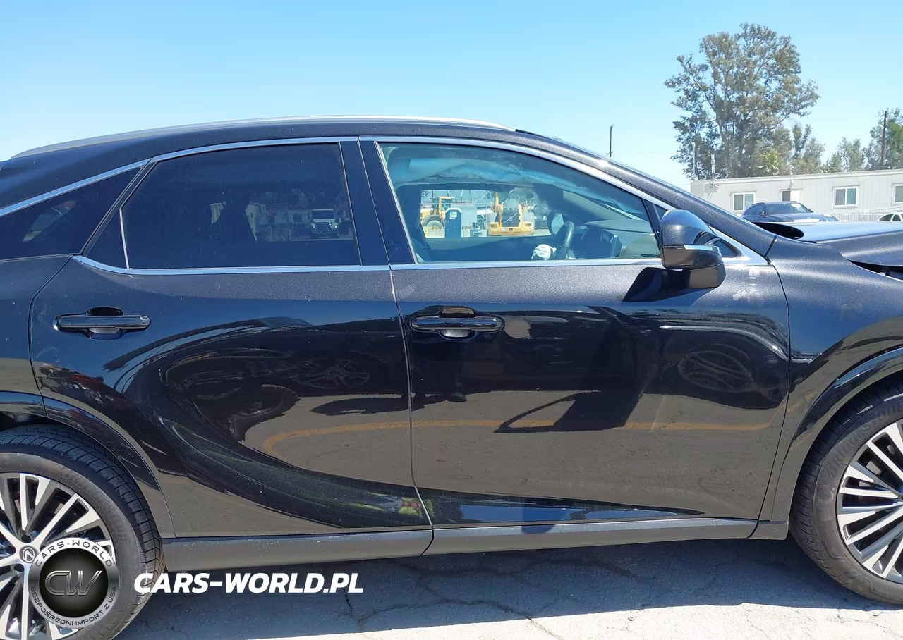 2024 Lexus Rx 350 Premium Plus VIN:2T2BAMBA1RC040623 - 13