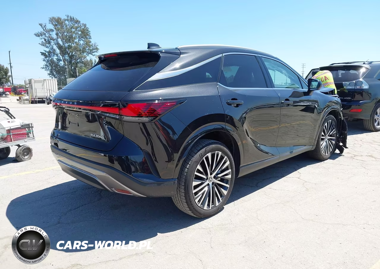 2024 Lexus Rx 350 Premium Plus VIN:2T2BAMBA1RC040623 - 4