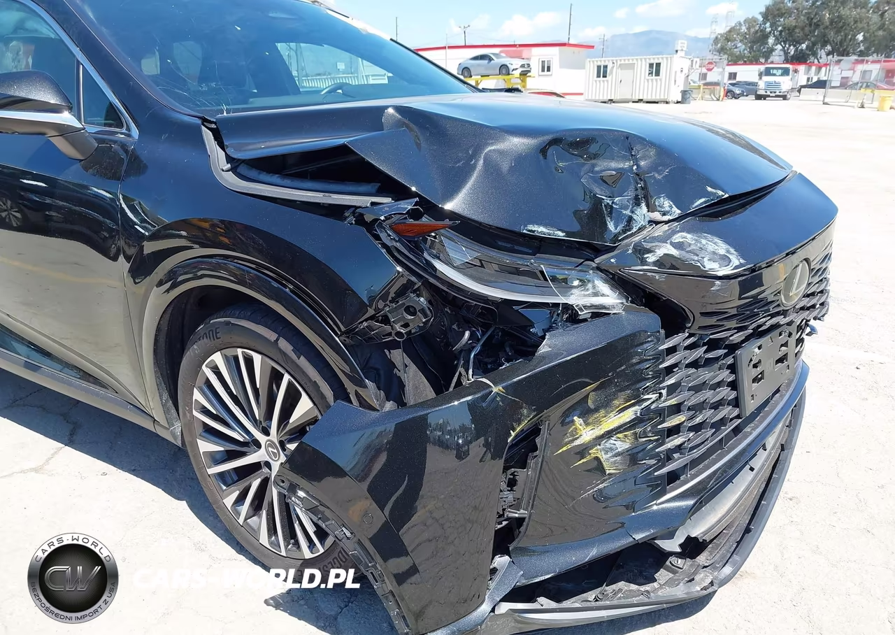 2024 Lexus Rx 350 Premium Plus VIN:2T2BAMBA1RC040623 - 6