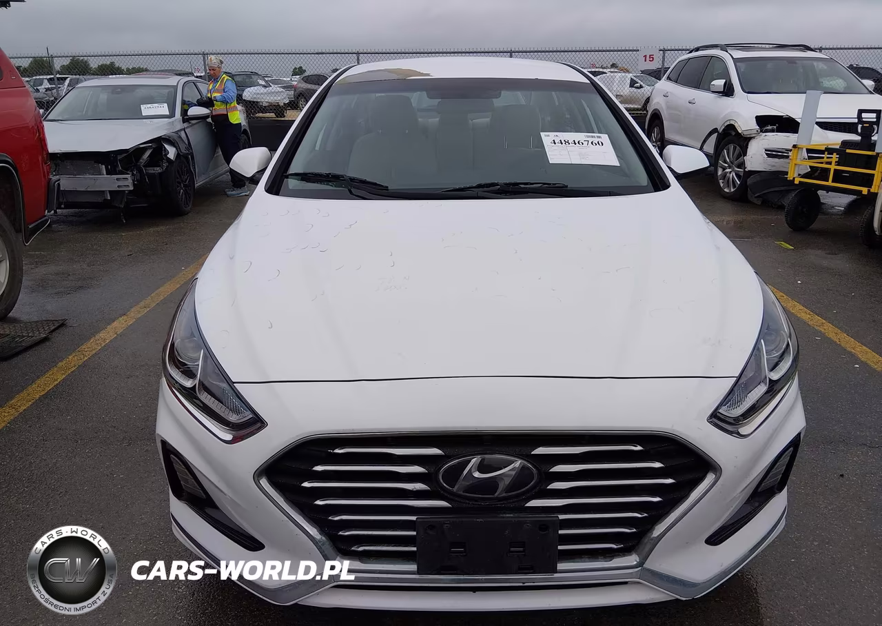 2019 Hyundai Sonata Se VIN:5NPE24AF7KH800844 - 12