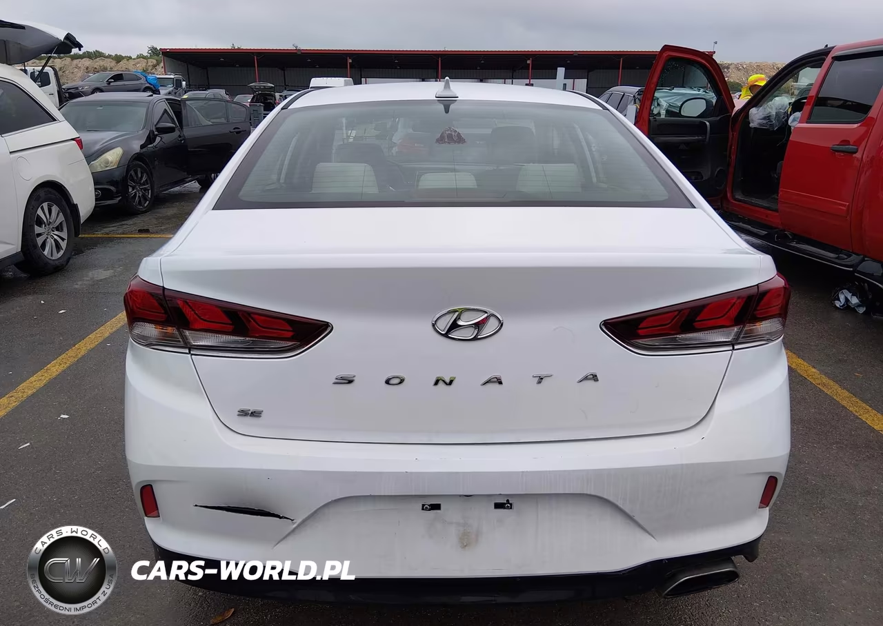 2019 Hyundai Sonata Se VIN:5NPE24AF7KH800844 - 16