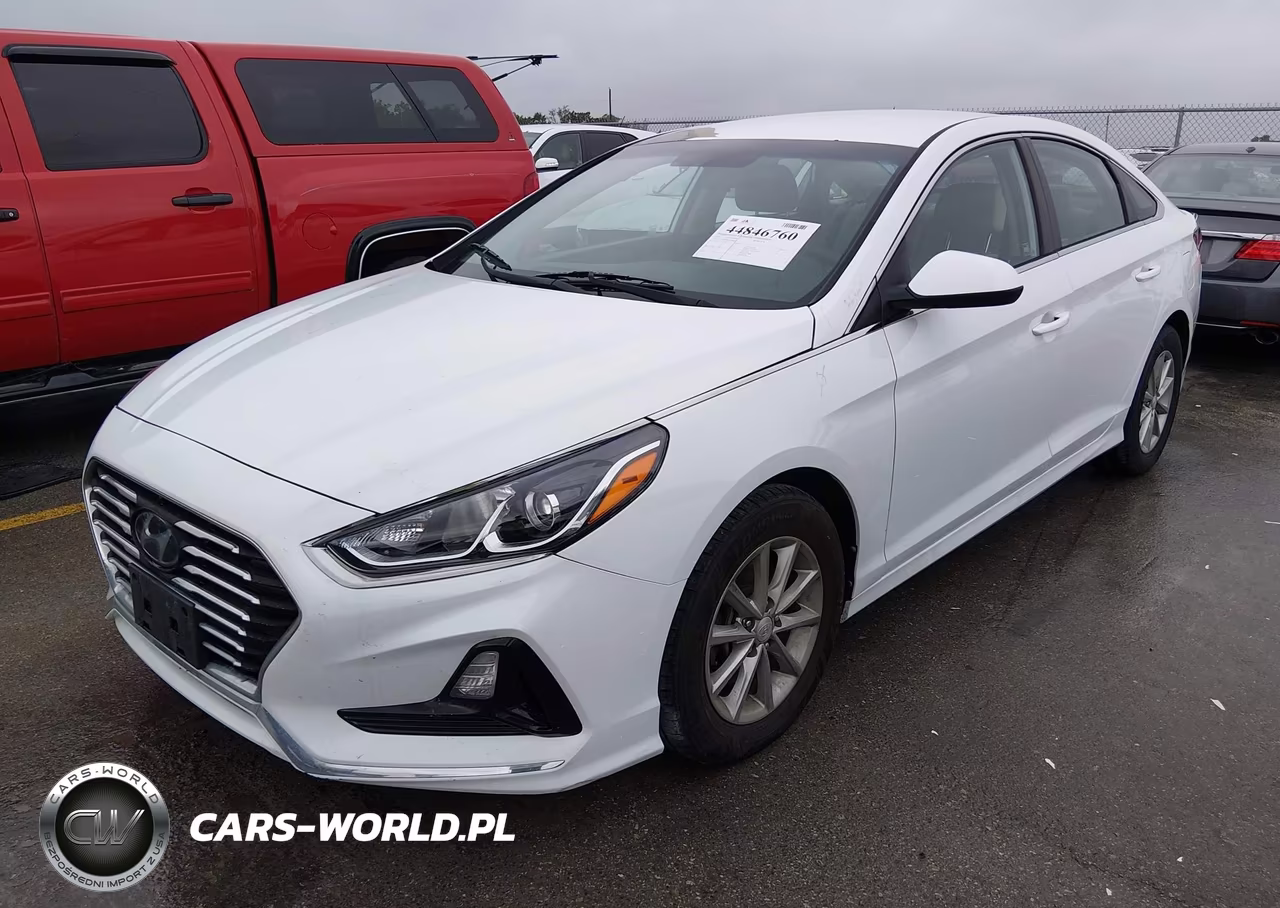 2019 Hyundai Sonata Se VIN:5NPE24AF7KH800844 - 2