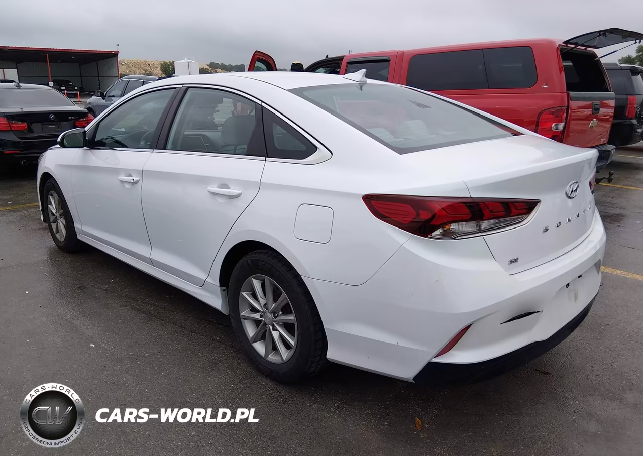 2019 Hyundai Sonata Se VIN:5NPE24AF7KH800844 - 3