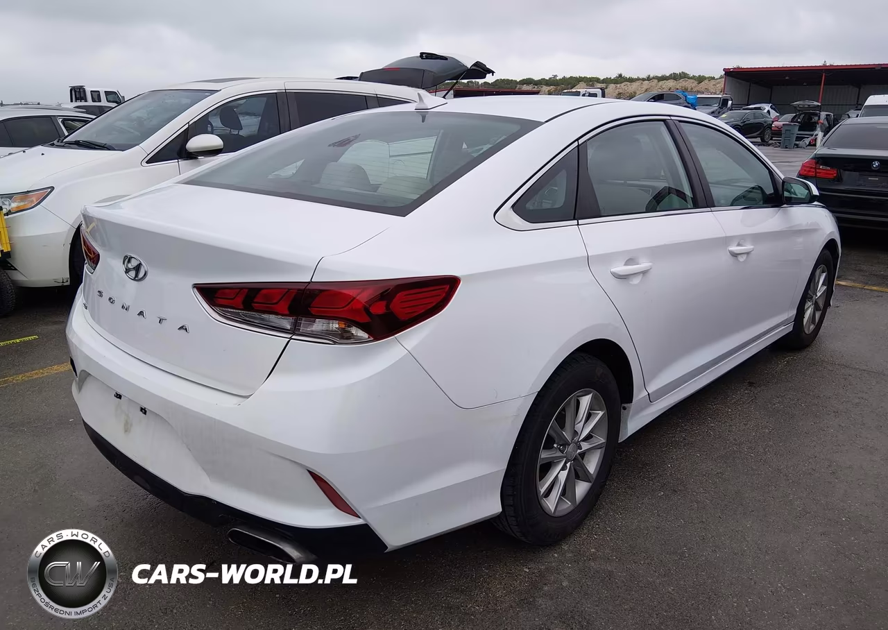 2019 Hyundai Sonata Se VIN:5NPE24AF7KH800844 - 4