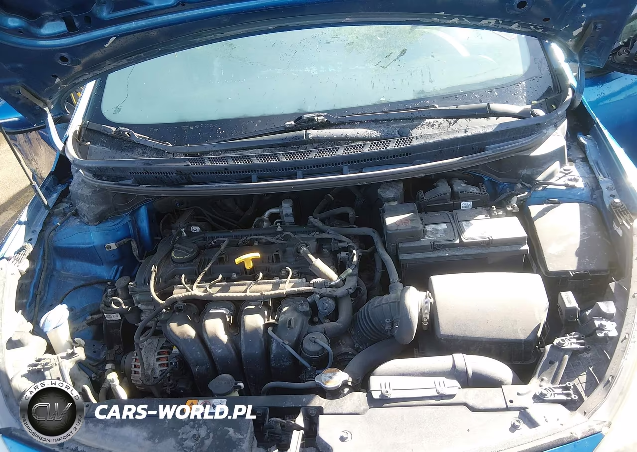 2014 Kia Forte Lx VIN:KNAFX4A68E5079747 - 10