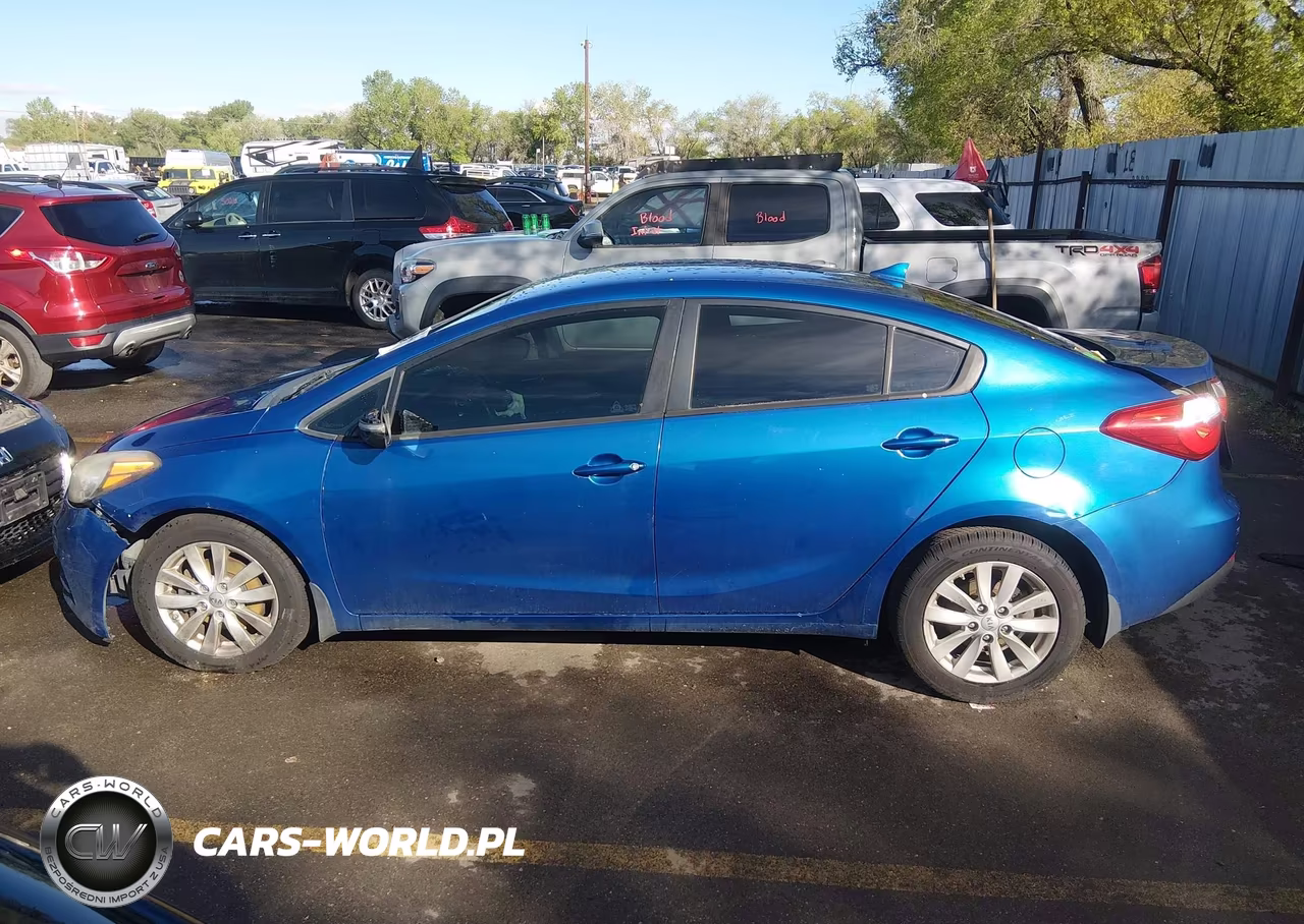 2014 Kia Forte Lx VIN:KNAFX4A68E5079747 - 13